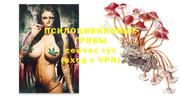 не бодяженный Армянск